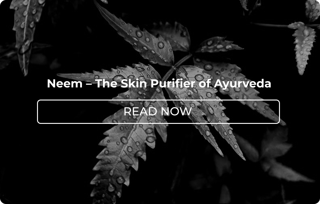 Neem – The Skin Purifier of Ayurveda